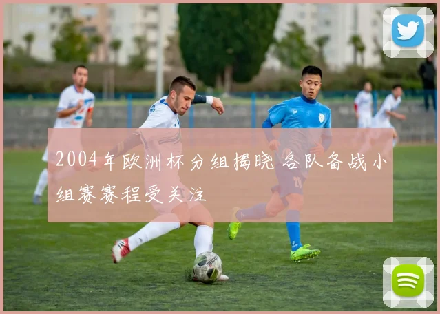 2004年欧洲杯分组揭晓 各队备战小组赛赛程受关注