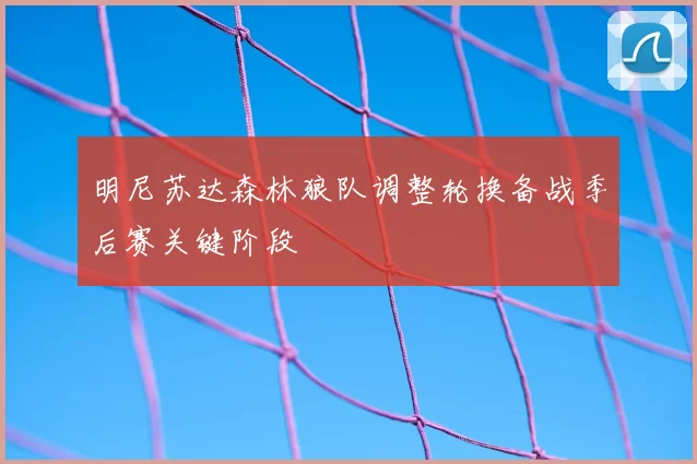 明尼苏达森林狼队调整轮换备战季后赛关键阶段