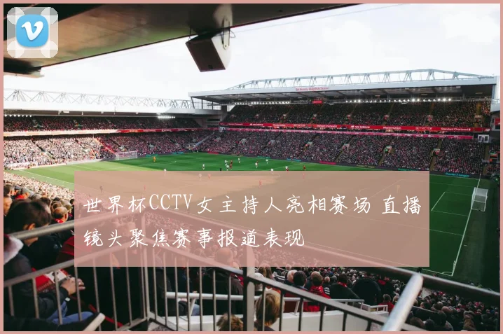 世界杯CCTV女主持人亮相赛场 直播镜头聚焦赛事报道表现